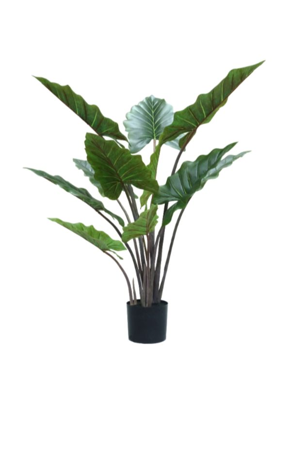 Kunstplant Taro - Afbeelding 2